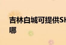吉林白城可提供SKG榨汁機維修服務地址在哪