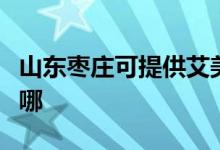 山東棗莊可提供艾美特榨汁機維修服務(wù)地址在哪