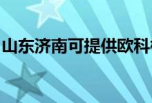 山東濟南可提供歐科榨汁機維修服務地址在哪