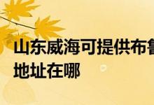 山東威海可提供布魯雅爾空氣凈化器維修服務(wù)地址在哪