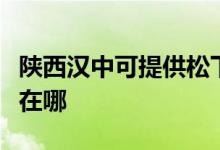 陜西漢中可提供松下空氣凈化器維修服務(wù)地址在哪