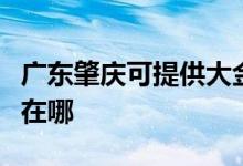廣東肇慶可提供大金空氣凈化器維修服務(wù)地址在哪