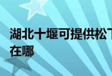 湖北十堰可提供松下空氣凈化器維修服務(wù)地址在哪