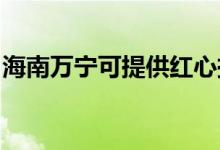 海南萬(wàn)寧可提供紅心掛燙機(jī)維修服務(wù)地址在哪