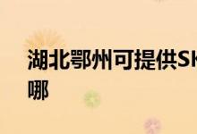 湖北鄂州可提供SKG按摩器維修服務地址在哪