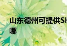山東德州可提供SKG電吹風維修服務地址在哪