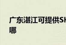 廣東湛江可提供SKG按摩器維修服務地址在哪