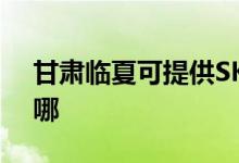 甘肅臨夏可提供SKG按摩器維修服務地址在哪