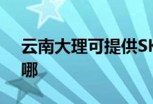 云南大理可提供SKG電吹風維修服務地址在哪