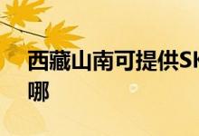西藏山南可提供SKG電吹風維修服務地址在哪