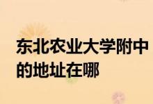 東北農業(yè)大學附中（東北農業(yè)大學附屬中學）的地址在哪