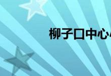 柳子口中心小學的地址在哪