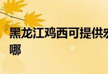 黑龍江雞西可提供宏碁投影機維修服務地址在哪