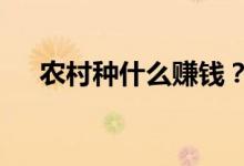 農(nóng)村種什么賺錢？（6個種植賺錢項目）