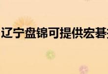 遼寧盤錦可提供宏碁投影機維修服務地址在哪