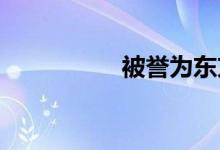 被譽為東方塑像館的是