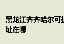 黑龍江齊齊哈爾可提供佳能投影機維修服務(wù)地址在哪