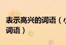 表示高興的詞語(yǔ)（小學(xué)語(yǔ)文知識(shí)：描寫高興的詞語(yǔ)）