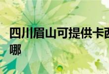 四川眉山可提供卡西歐投影機維修服務地址在哪