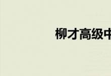 柳才高級中學的地址在哪
