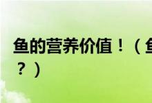魚的營養(yǎng)價(jià)值?。~肉的營養(yǎng)價(jià)值到底有多大？）