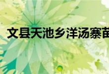 文縣天池鄉(xiāng)洋湯寨苗圃希望小學的地址在哪
