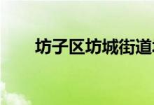 坊子區(qū)坊城街道埠頭小學的地址在哪