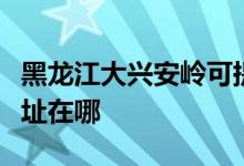 黑龍江大興安嶺可提供科密投影機維修服務(wù)地址在哪