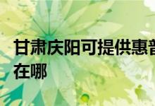 甘肅慶陽(yáng)可提供惠普激光打印機(jī)維修服務(wù)地址在哪