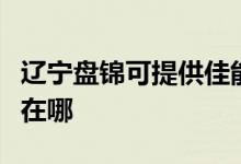遼寧盤錦可提供佳能噴墨打印機(jī)維修服務(wù)地址在哪