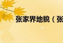張家界地貌（張家界必去三個(gè)景點(diǎn)）