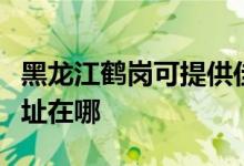 黑龍江鶴崗可提供佳能數(shù)碼復合機維修服務地址在哪