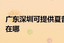 廣東深圳可提供夏普數(shù)碼復合機維修服務地址在哪