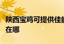 陜西寶雞可提供佳能數(shù)碼復合機維修服務地址在哪