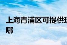 上海青浦區(qū)可提供理光復(fù)印機(jī)維修服務(wù)地址在哪