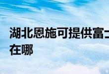 湖北恩施可提供富士施樂復印機維修服務地址在哪