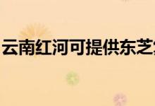 云南紅河可提供東芝復(fù)印機(jī)維修服務(wù)地址在哪