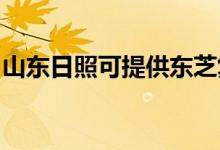 山東日照可提供東芝復(fù)印機(jī)維修服務(wù)地址在哪