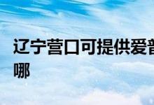 遼寧營(yíng)口可提供愛(ài)普生掃描儀維修服務(wù)地址在哪