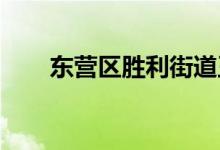 東營(yíng)區(qū)勝利街道王營(yíng)小學(xué)的地址在哪