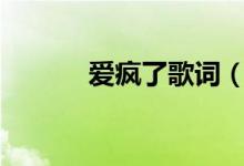 愛(ài)瘋了歌詞（愛(ài)瘋了dj版歌曲）
