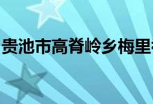 貴池市高脊嶺鄉(xiāng)梅里初級職業(yè)中學(xué)的地址在哪