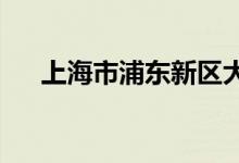 上海市浦東新區(qū)大慶街小學的地址在哪