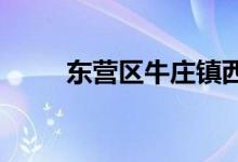 東營區(qū)牛莊鎮(zhèn)西范中學的地址在哪