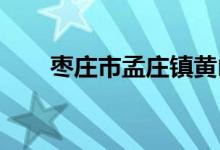 棗莊市孟莊鎮(zhèn)黃山澗小學的地址在哪