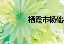 棲霞市楊礎(chǔ)小學(xué)的地址在哪