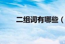 二組詞有哪些（帶有“二”的成語(yǔ)）