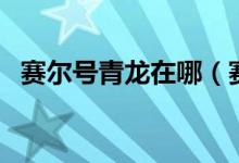 賽爾號青龍?jiān)谀模ㄙ悹柼柷帻埵刈o(hù)怎么打）
