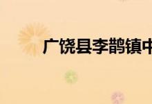 廣饒縣李鵲鎮(zhèn)中心小學的地址在哪