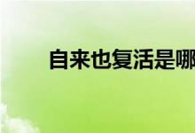 自來也復活是哪一集（自來也介紹）